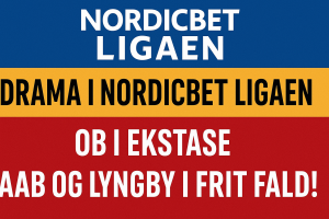 Nordic bet ligaen