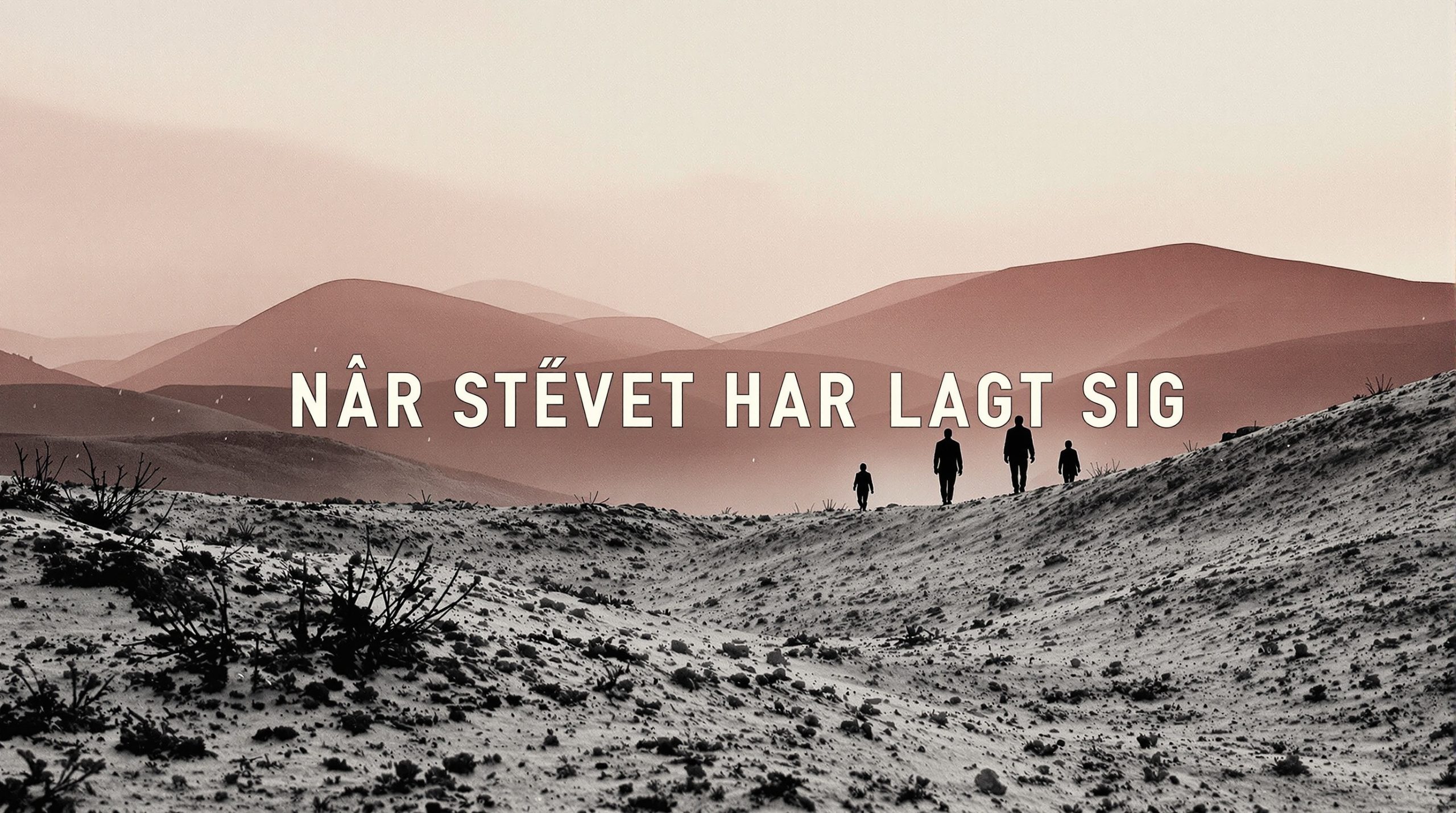 Medvirkende i Når Støvet Har Lagt Sig