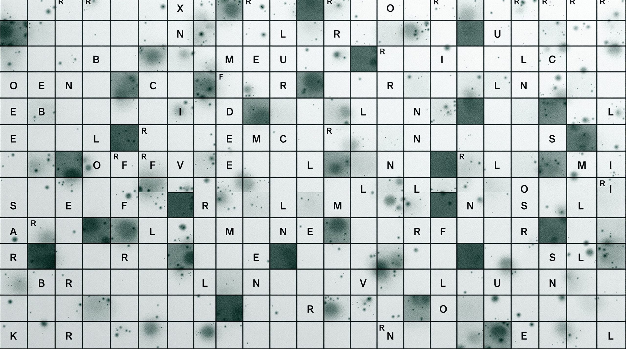 afslører i krydsord