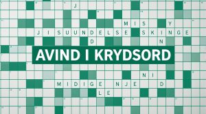 avind i krydsord
