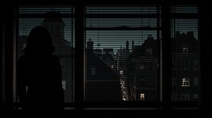 Medvirkende i Kvinden i Vinduet